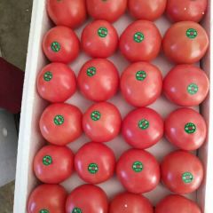 硬粉大量上市。质量棒。