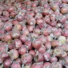 大量红富士苹果。