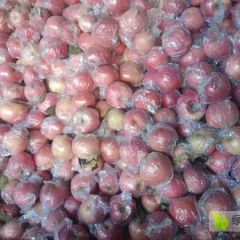 山西万荣纸加膜红富士诚信代办