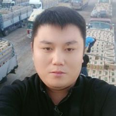 供应缅甸甜王皮二西瓜黄河蜜等