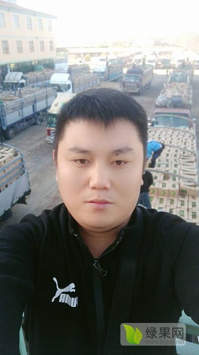 甜王系列价格