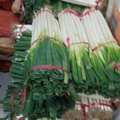 滕州姜屯马传成12月铁杆大葱