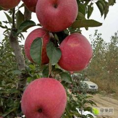 大美鞍山！大美台安！大美西平！