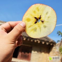 山西省运城市临猗县冰糖心苹果10斤32.9元包邮