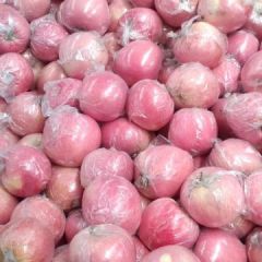 山西临猗纸加膜红富士苹果大量供应中！