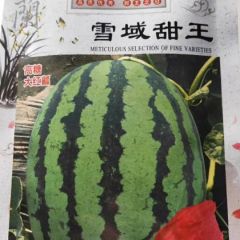 雪域甜王西瓜种子丨甜王西瓜种子丨甜王西瓜丨雪域甜王丨西瓜