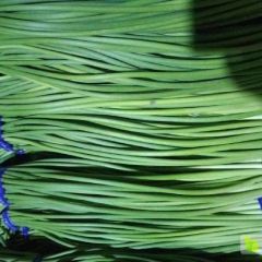 急售.急售……300吨蒜薹条青稍绿，金乡县大蒜合作社直卖.保证质量。