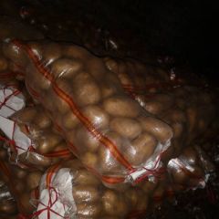 精品三优V7土豆