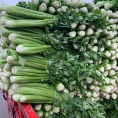 西芹 优质保障 产地直供 视频看货