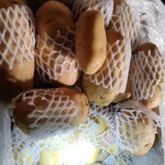 持续大量供应荷兰十五土豆山东肥城本地货