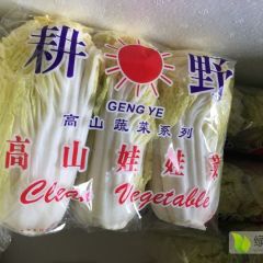 供应云南娃娃菜量大