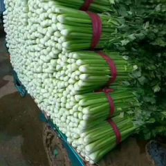 欢迎老板的到来，祝大家生意兴隆