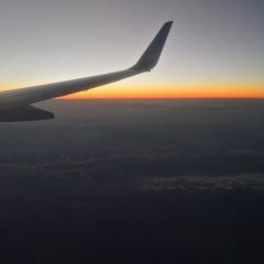 牧野牧绿李保军芹菜