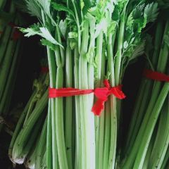 上蔡西芹大量上市