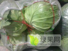 西昌甘蓝大量上市