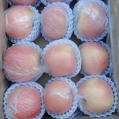 山西运城纸袋富士苹果