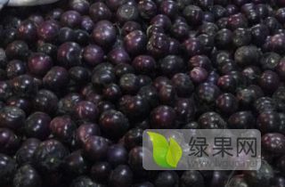 2020年山东莘县紫光圆茄价格