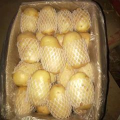 现大量出售冷库四两通天土豆