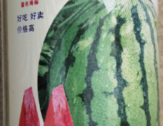 供应冰糖麒麟（早佳8424）西瓜种子