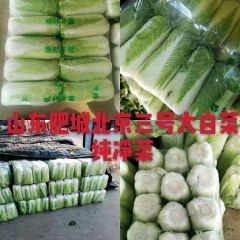 北京三号大白菜大量供应出售中。