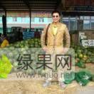 大量求购沙糖桔