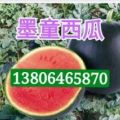 墨童无籽西瓜产地直销 糖度15以上