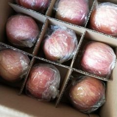 临猗红富士苹果纸加膜各种规格供应