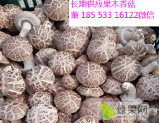 长期供应优质果木香菇