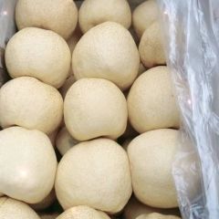 宁陵酥梨大量走货中欢迎采购