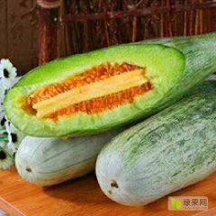 羊角蜜，博洋九，每年2月底上市