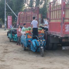 河南西瓜产地诚信专业代办代发