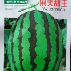 供应果美大果甜王种子