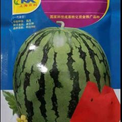 供应申抗988西瓜种子（抗重茬美都类型）