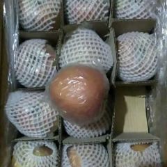 冷库红富士大量供应