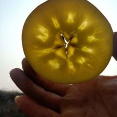 冰糖心红富士80苹果