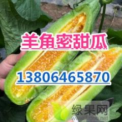 山东潍坊羊角蜜甜瓜产地大量供应