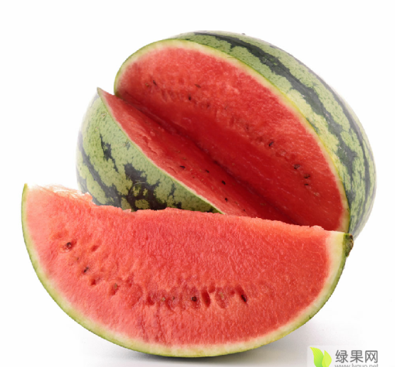 8424西瓜价格