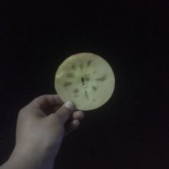 优质冰糖心红富士80