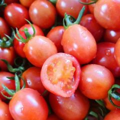 釜山88优质圣女果供应