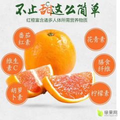 中华红肉脐橙大量供应