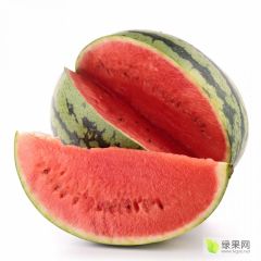 商丘西瓜夏邑种植最大基地批发