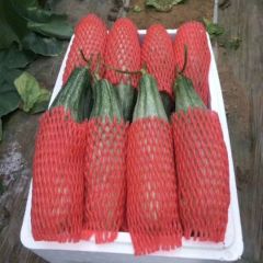 山东潍坊羊角蜜主产区，适合电商，超市，市场等