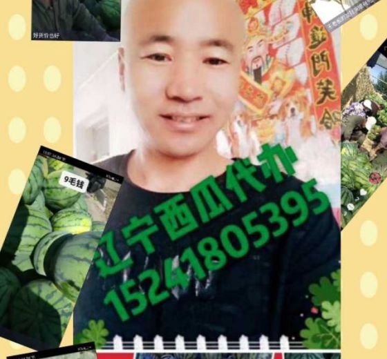 2016年辽宁新民花皮无籽价格