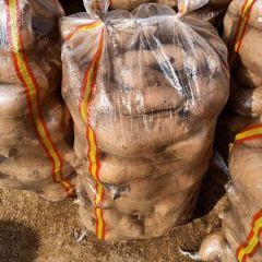 地窖红薯供应有红皮黄皮地瓜丘陵地口感好