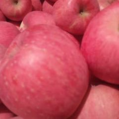 栖霞红富士苹果偏宜了