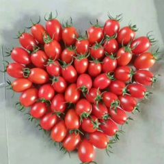 千禧，贝贝，种植基地直供！