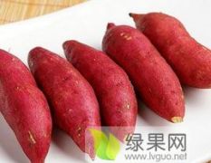 红薯，品种有：龙薯九号。18841627321。