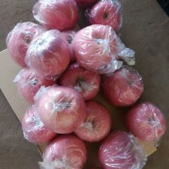 现有300万斤红富士膜袋苹果大量出库，各种包装都