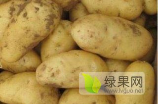 荷兰十五大土豆