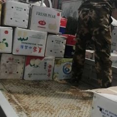 大量雪花梨出库中